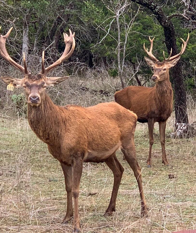 Tbd 281 Highway Lampasas TX 76550