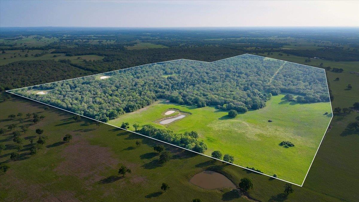 2095 County Road 442 Thrall TX 76578