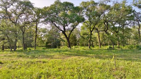 2095 County Road 442 Thrall TX 76578