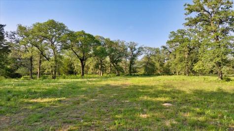 2095 County Road 442 Thrall TX 76578