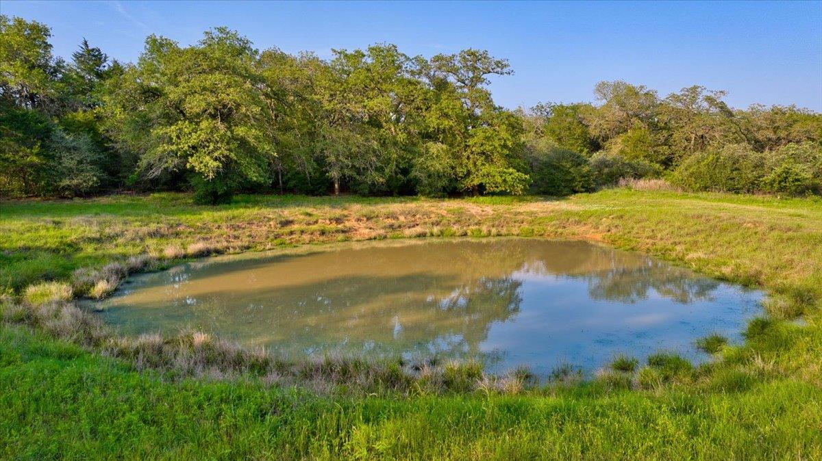 2095 County Road 442 Thrall TX 76578