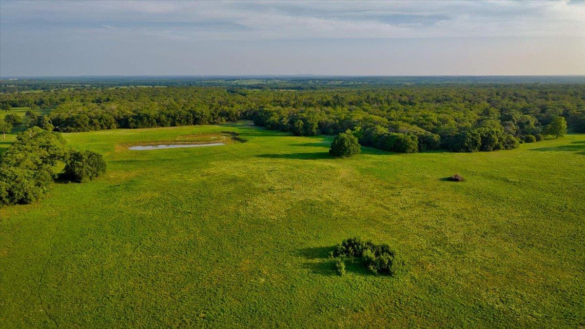 2095 County Road 442 Thrall TX 76578