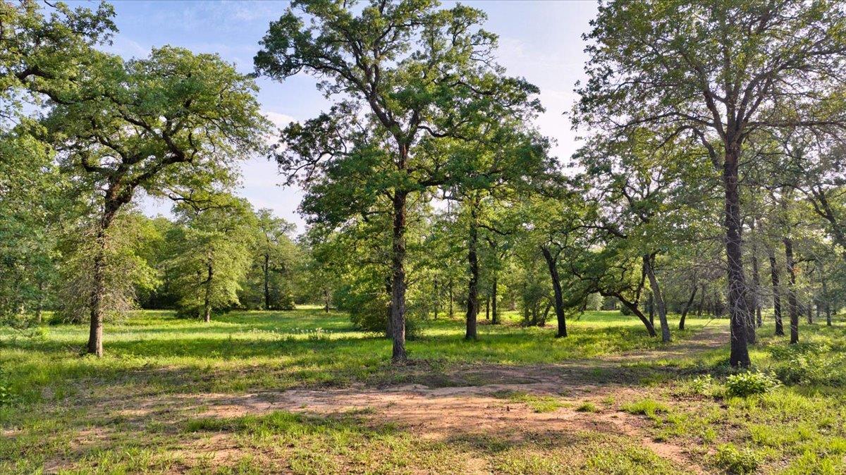 2095 County Road 442 Thrall TX 76578