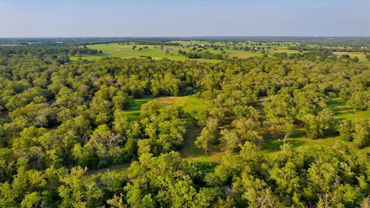 2095 County Road 442 Thrall TX 76578
