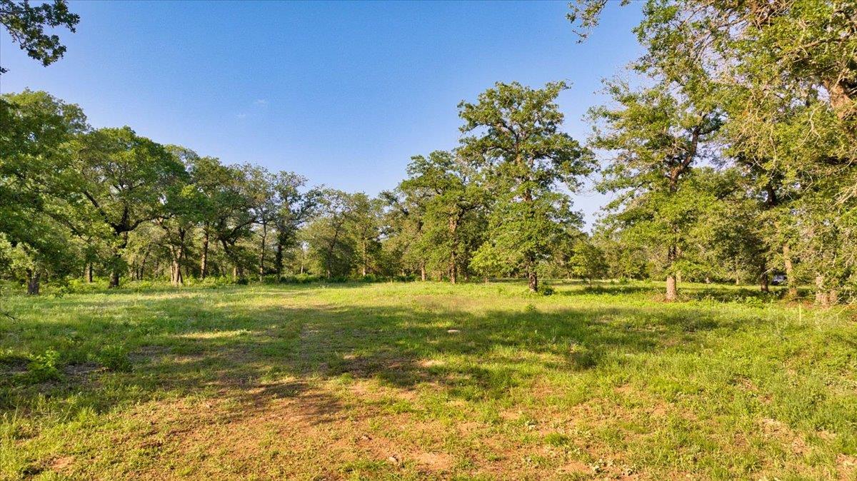 2095 County Road 442 Thrall TX 76578