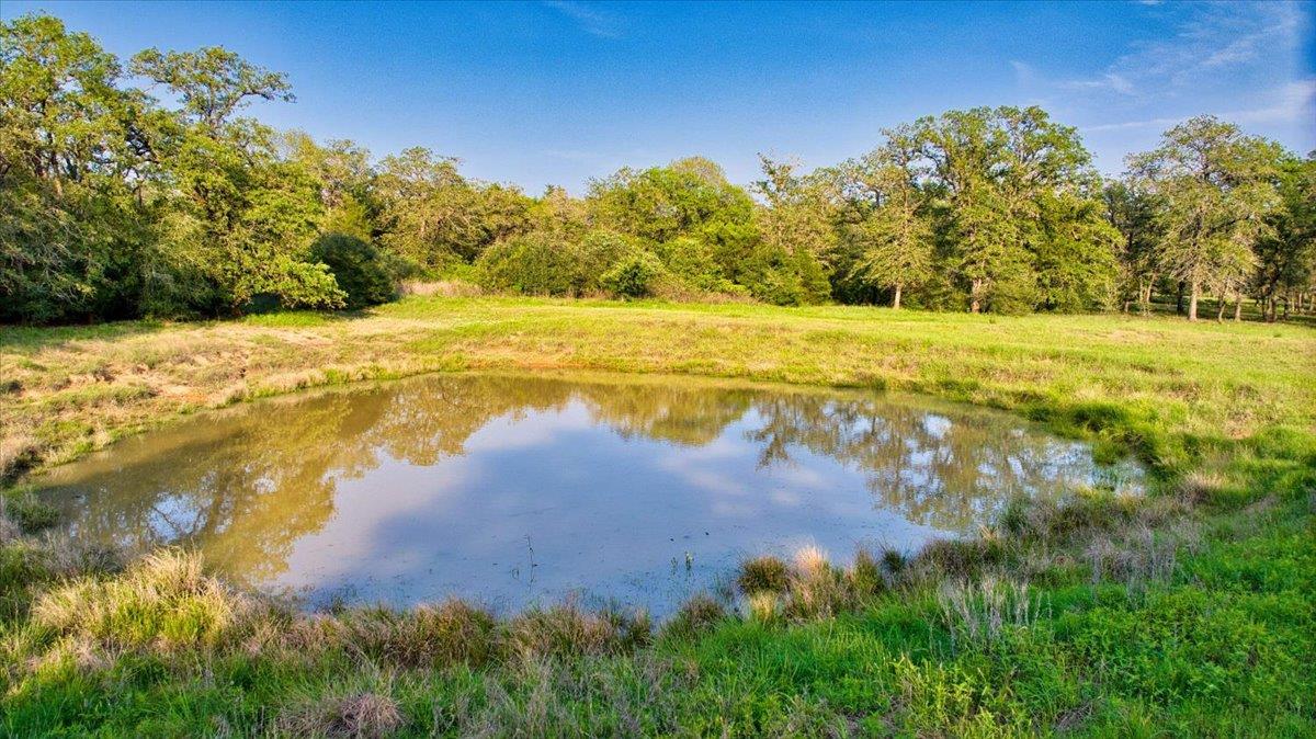 2095 County Road 442 Thrall TX 76578