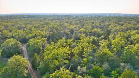 2095 County Road 442 Thrall TX 76578