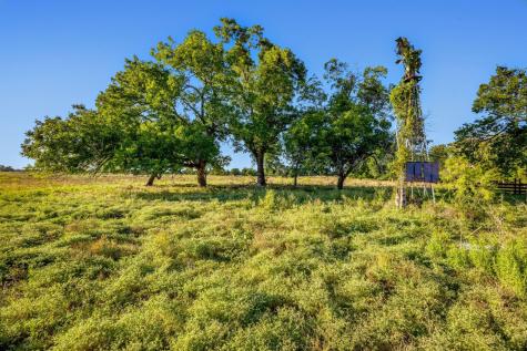 19587 Vilas Road Holland TX 76534