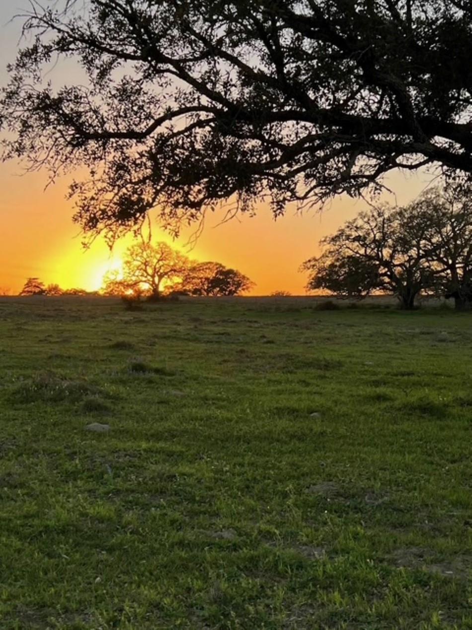 265 Boulton Creek Road Flatonia TX 78941