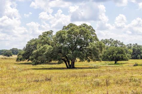 265 Boulton Creek Road Flatonia TX 78941