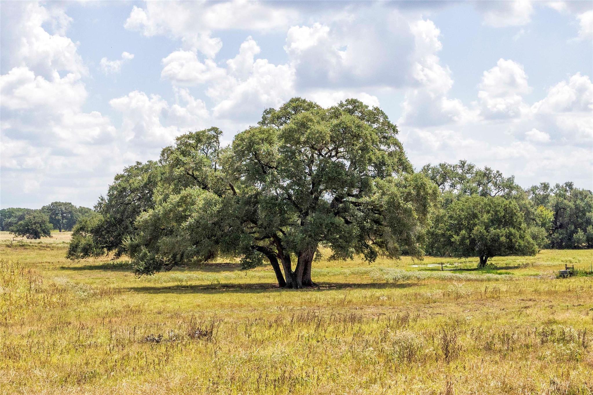 265 Boulton Creek Road Flatonia TX 78941