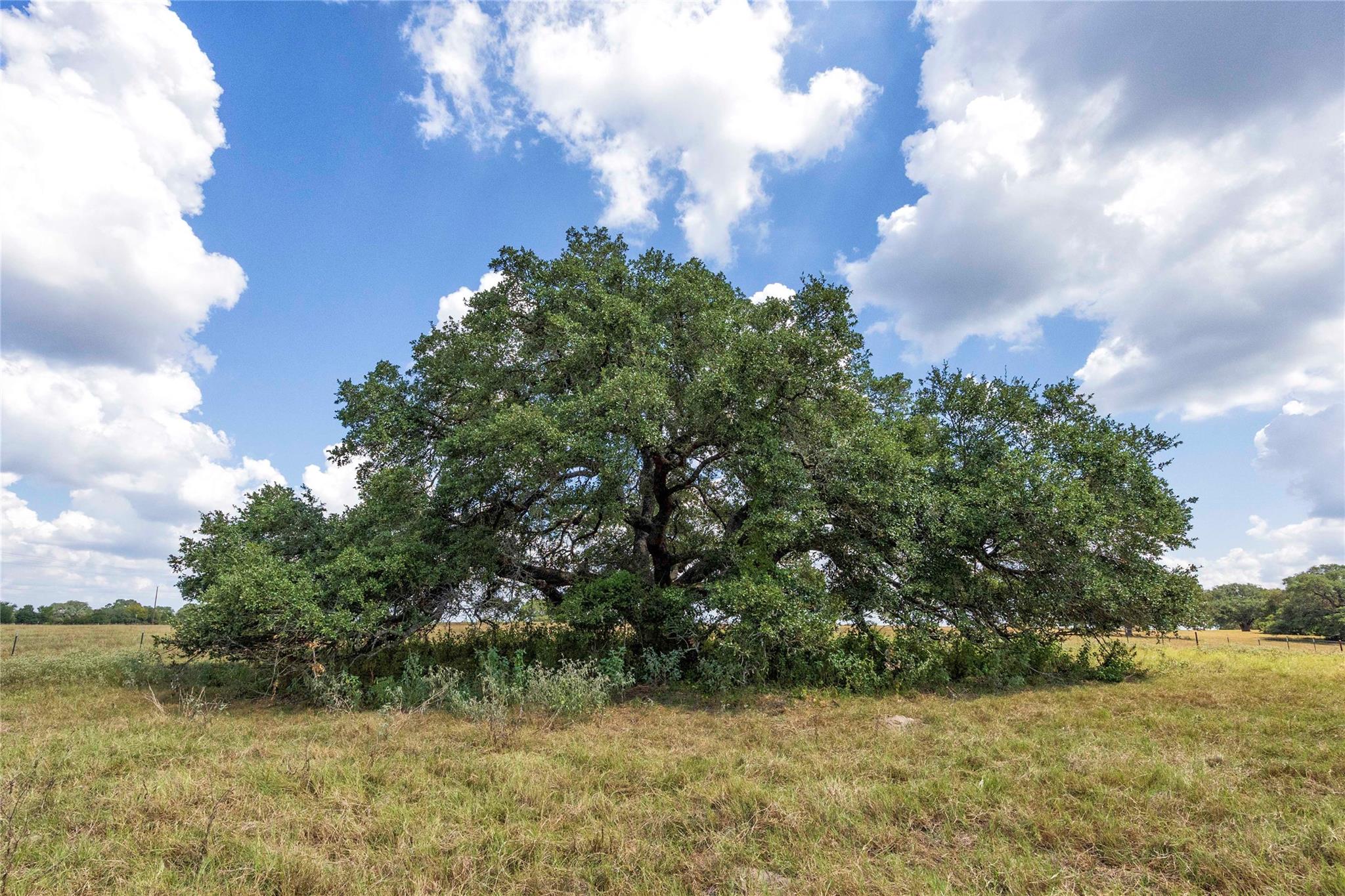 265 Boulton Creek Road Flatonia TX 78941