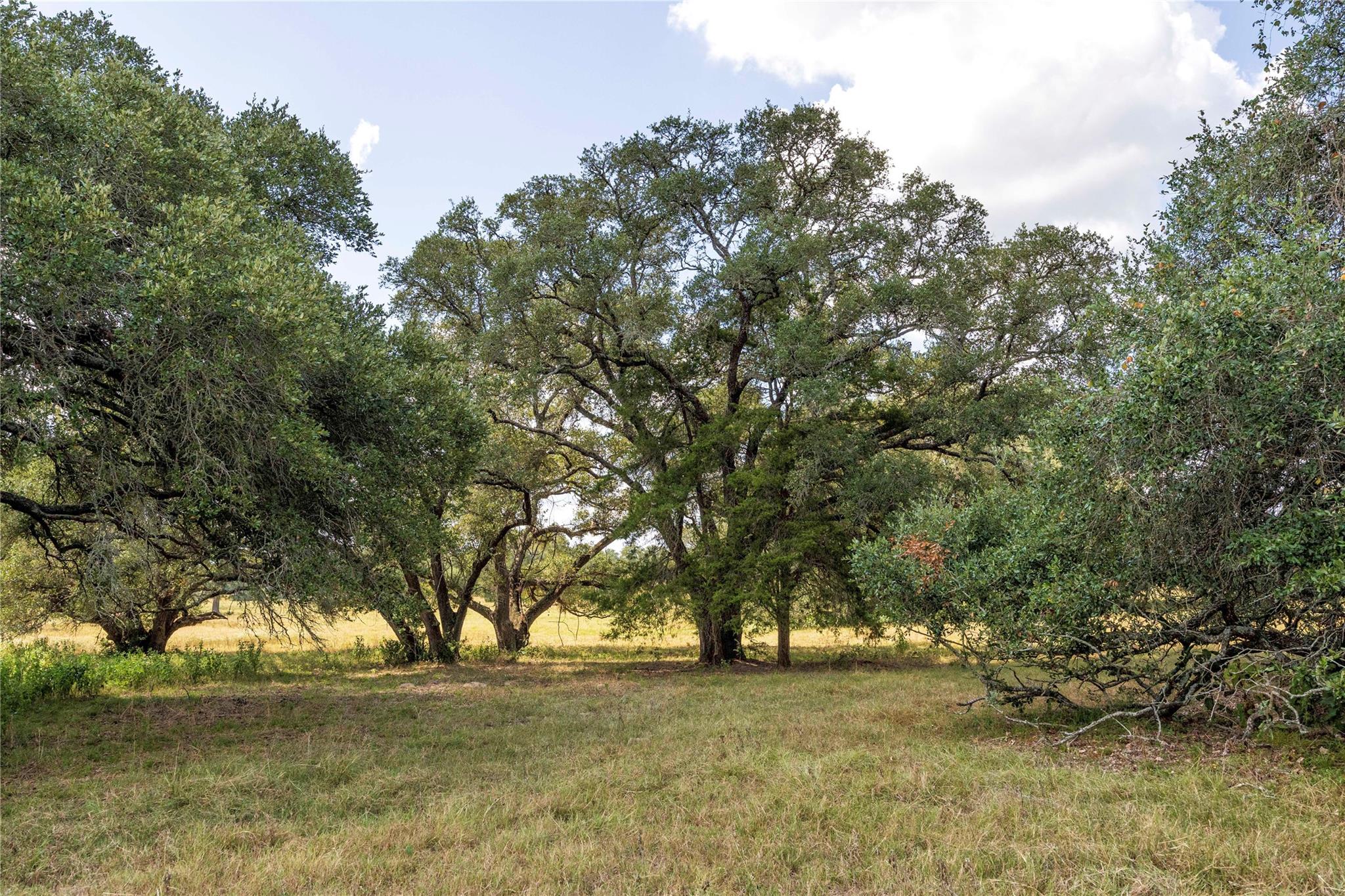 265 Boulton Creek Road Flatonia TX 78941