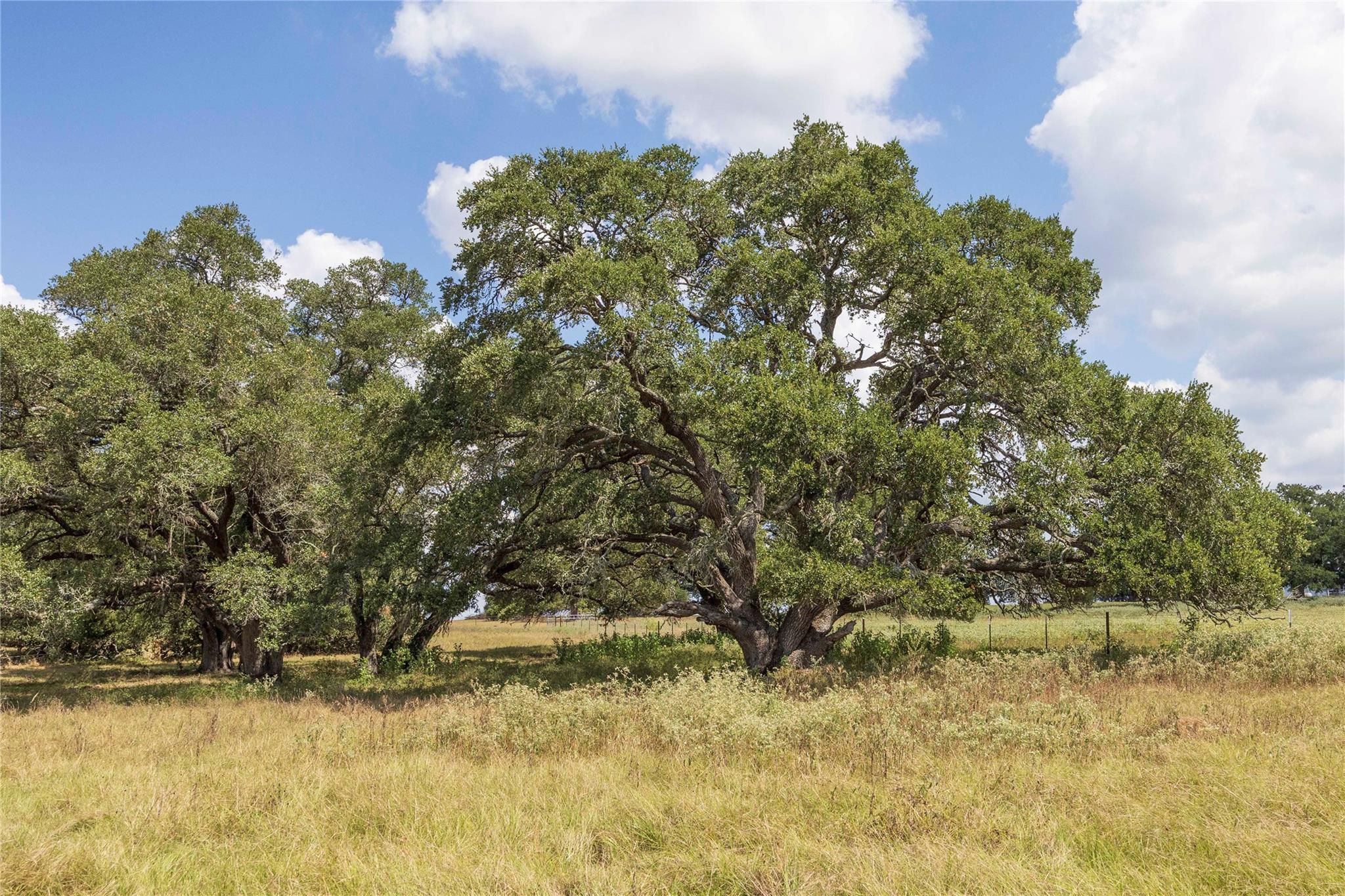 265 Boulton Creek Road Flatonia TX 78941