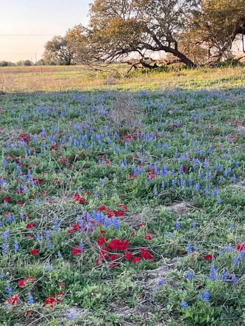 265 Boulton Creek Road Flatonia TX 78941