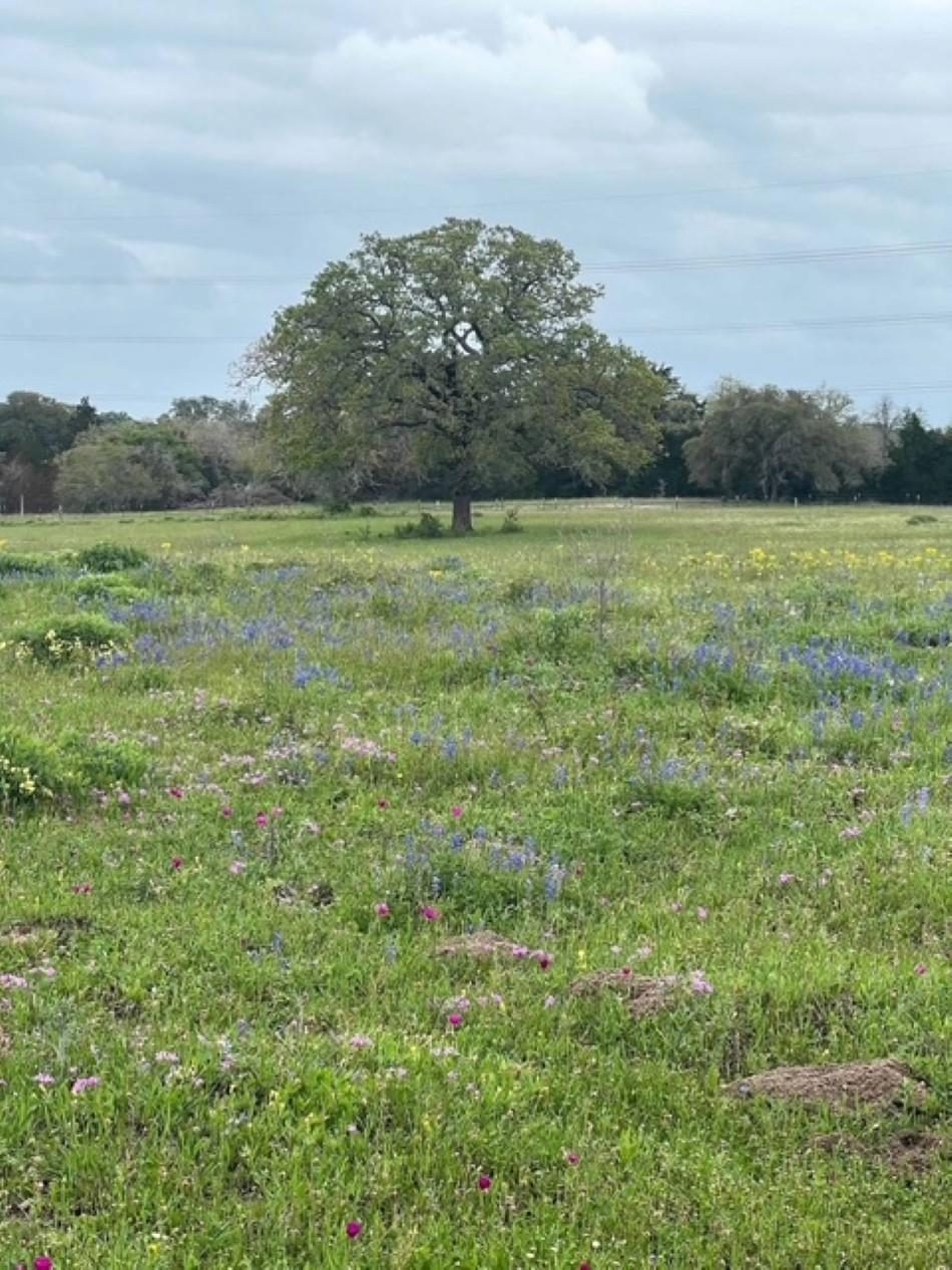 265 Boulton Creek Road Flatonia TX 78941