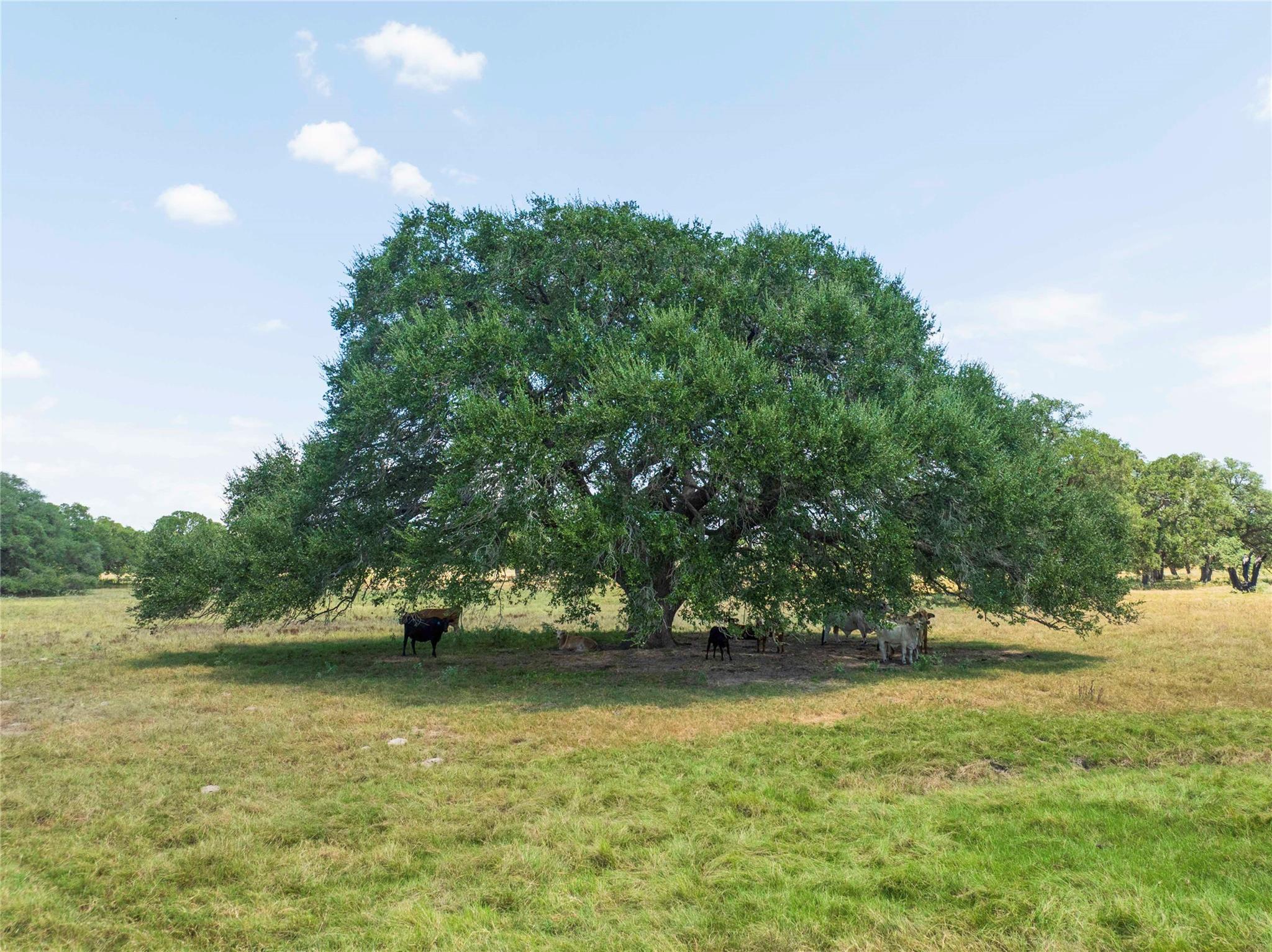 265 Boulton Creek Road Flatonia TX 78941