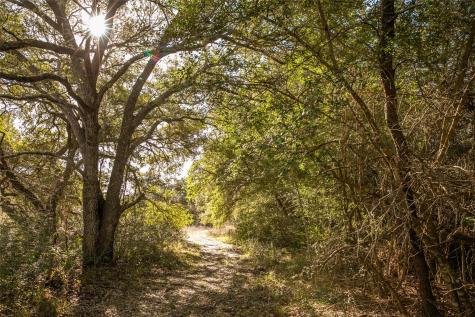 11107 Mount Falls School Road Washington TX 77880
