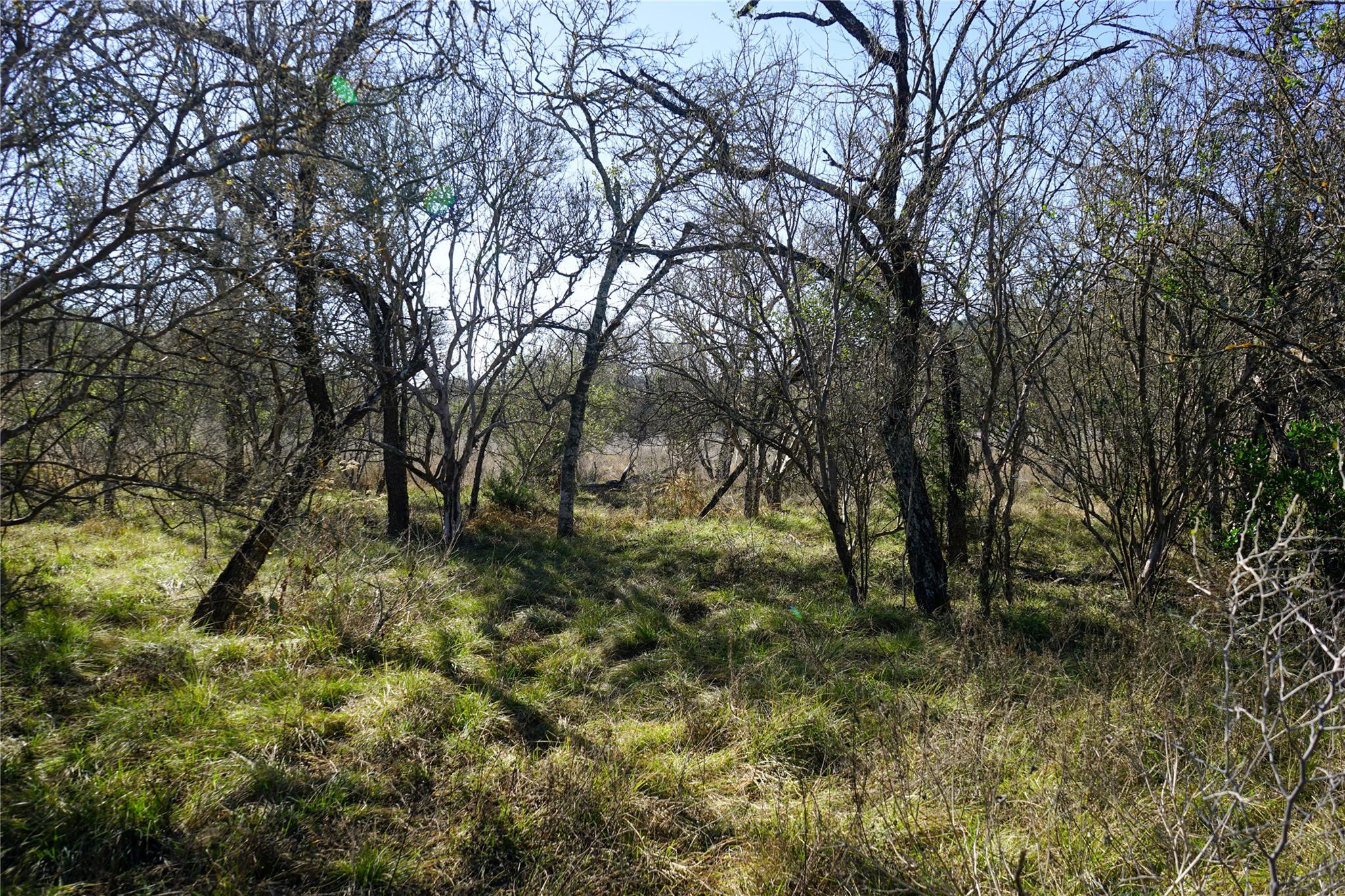 831 Magers Road Concan TX 78838