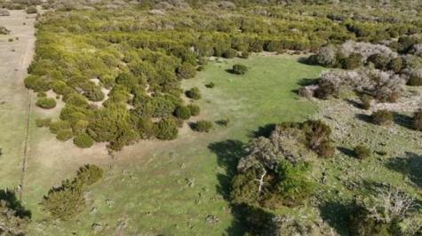 Tbd 000 County 108 Road Burnet TX 78611