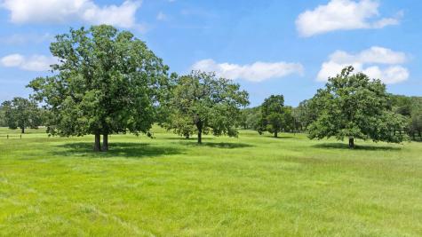 705 Antioch Road Paige TX 78659