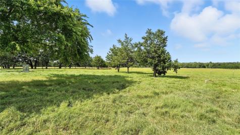 705 Antioch Road Paige TX 78659