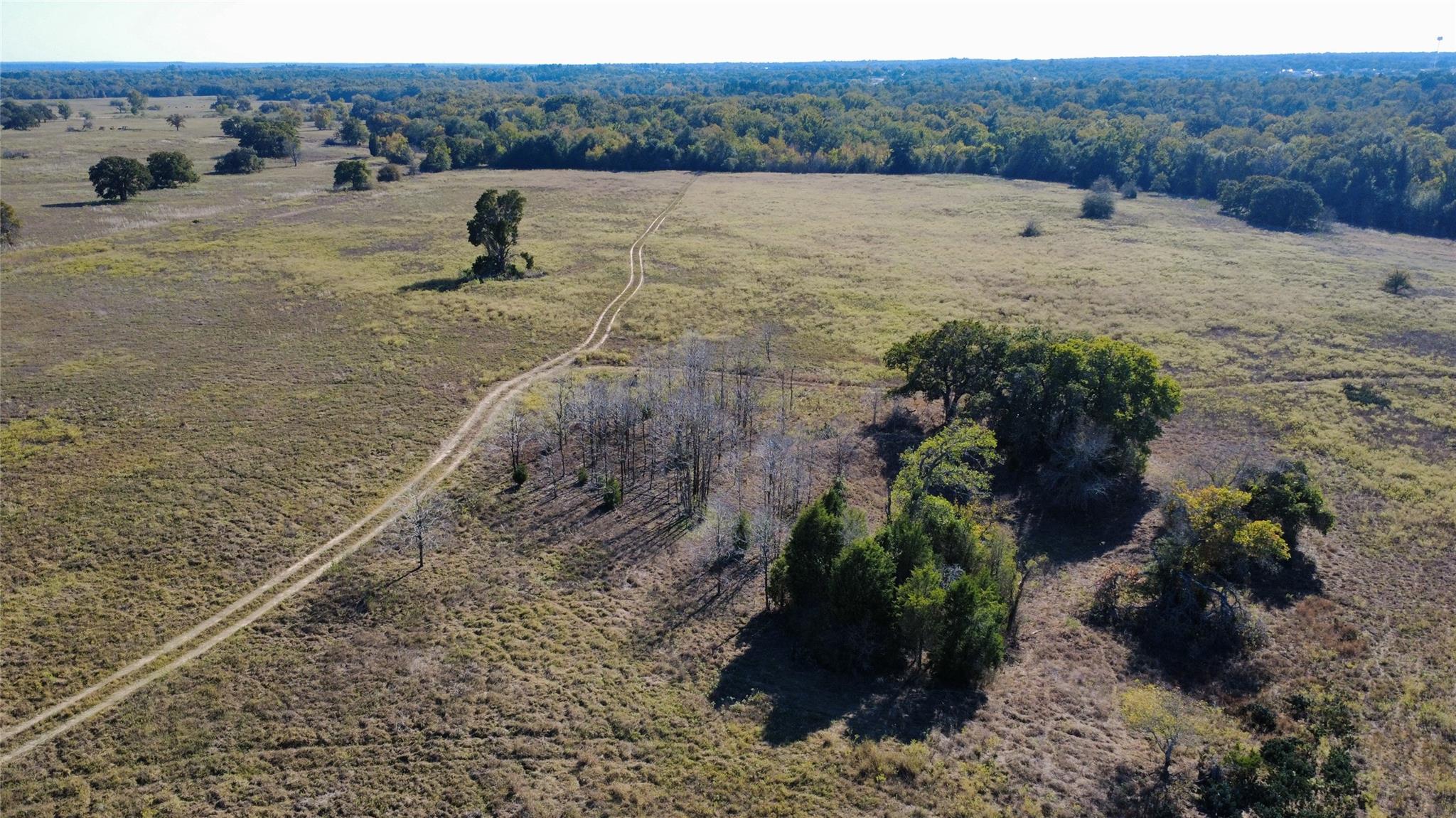 196 Brinkley Lane Elgin TX 78621