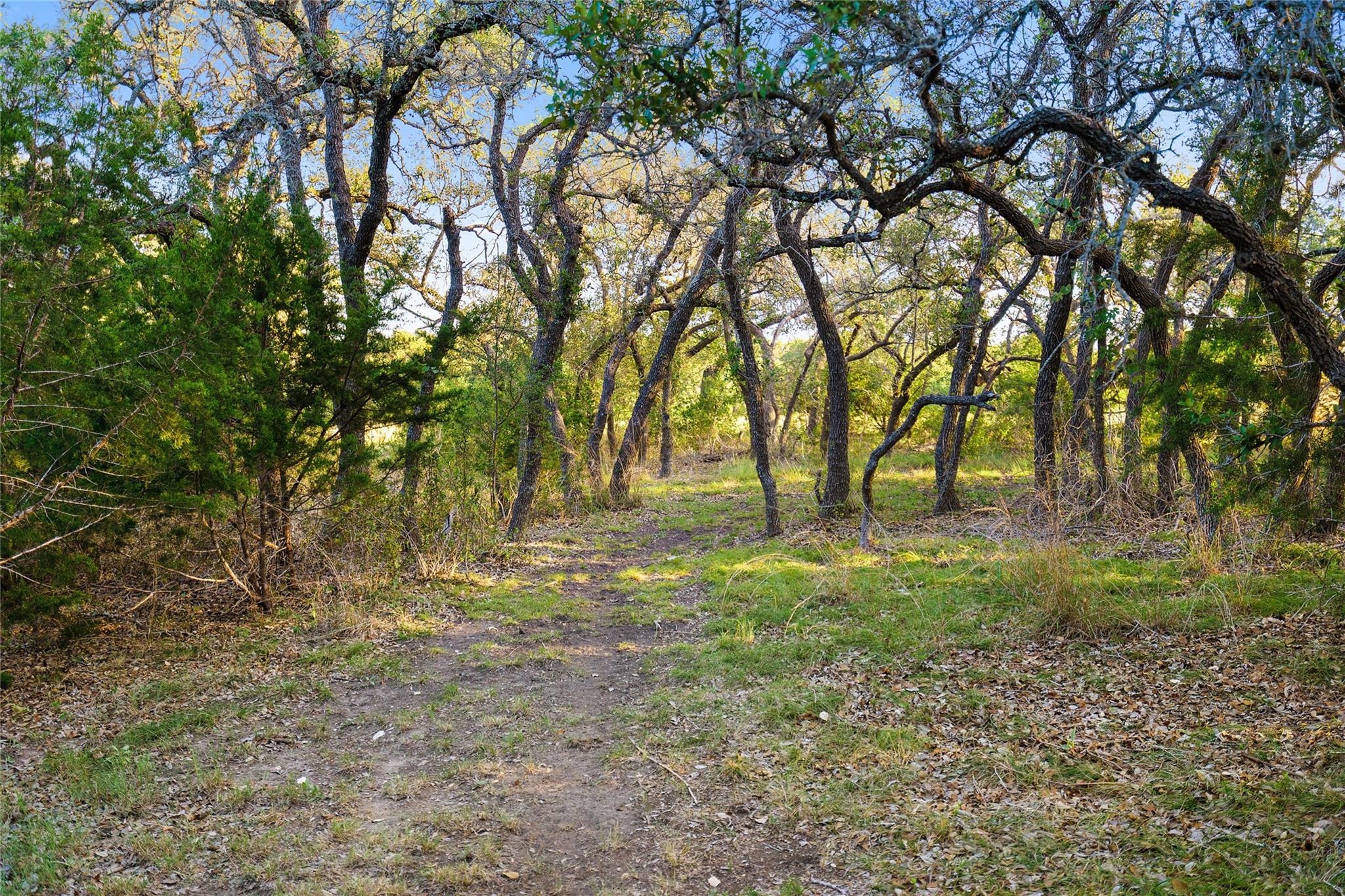 370 Gray Wolf Blanco TX 78606