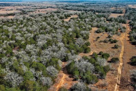 1648 Jeddo Road Rosanky TX 78953