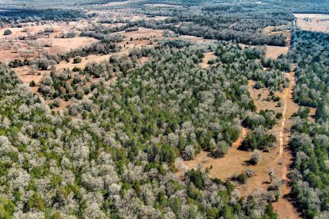 1648 Jeddo Road Rosanky TX 78953