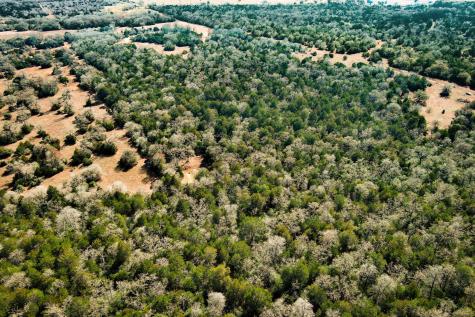 1648 Jeddo Road Rosanky TX 78953