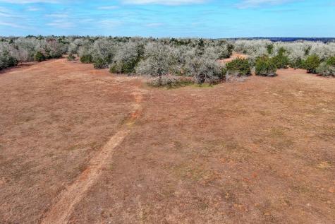 1648 Jeddo Road Rosanky TX 78953