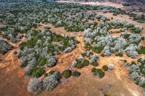 1648 Jeddo Road Rosanky TX 78953