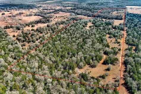 1648 Jeddo Road Rosanky TX 78953