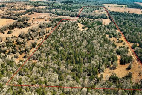 1648 Jeddo Road Rosanky TX 78953