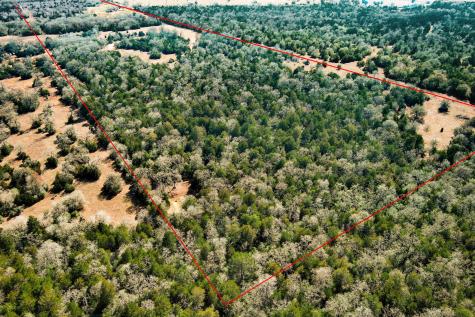 1648 Jeddo Road Rosanky TX 78953