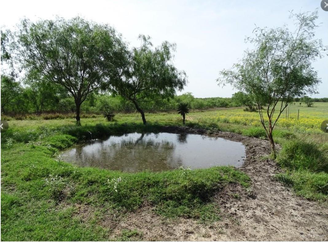 Fm 2294 Fm 2294 San Isidro TX 78588