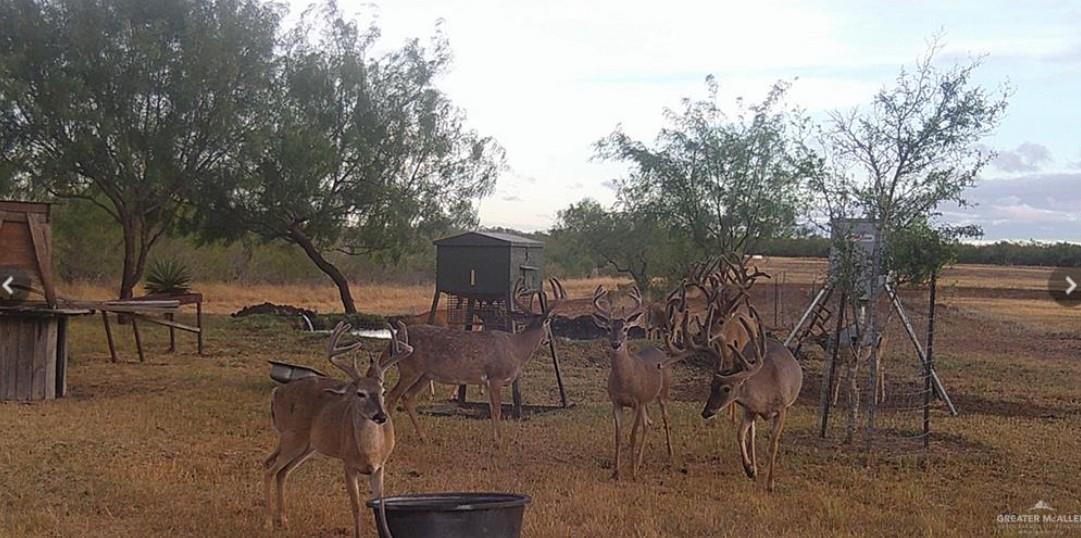 Fm 2294 Fm 2294 San Isidro TX 78588