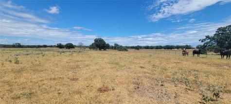 Tbd N 000 Highway 77 Rockdale TX 76567