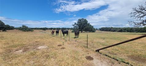 Tbd N 000 Highway 77 Rockdale TX 76567