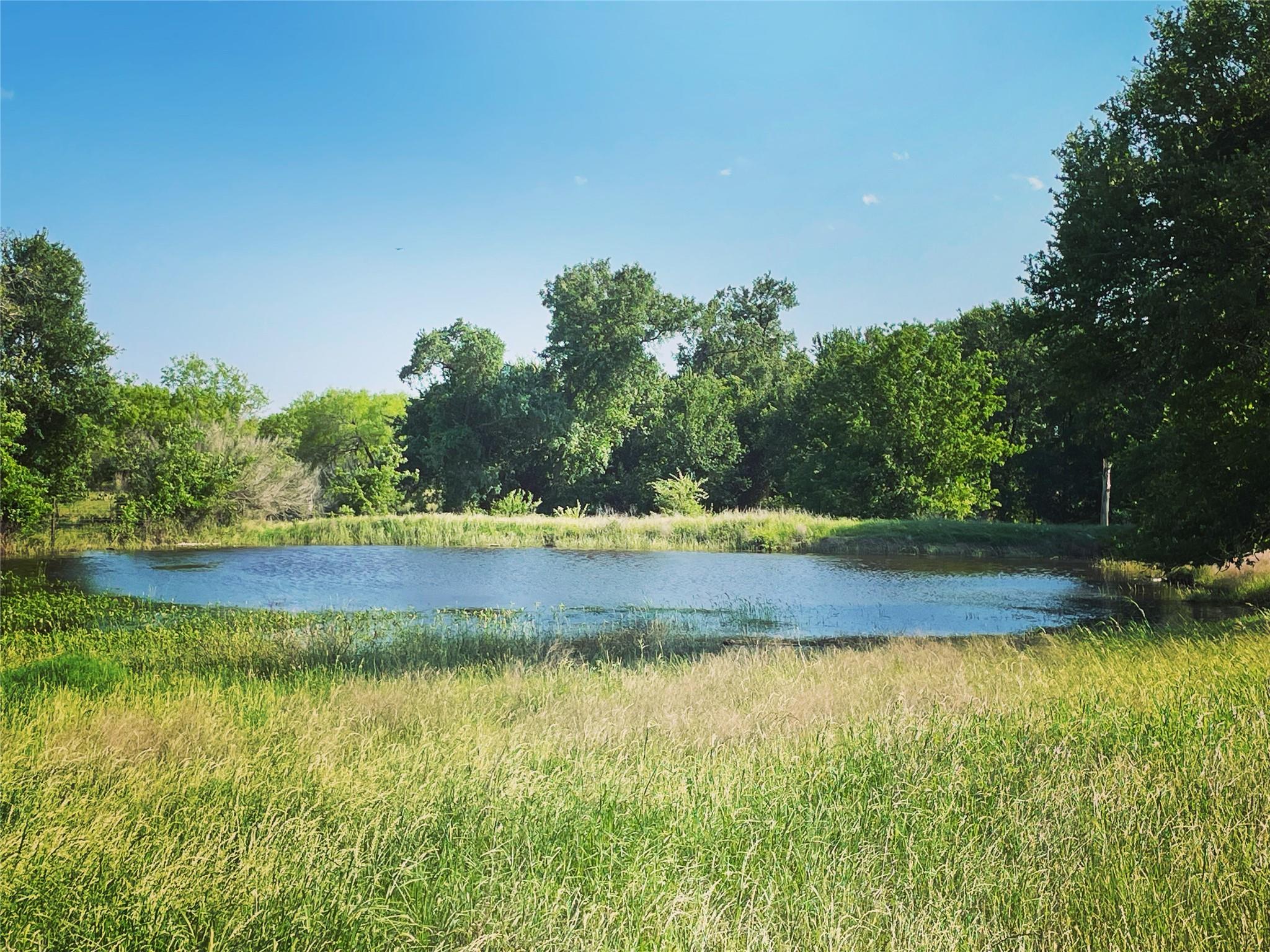 3000 Pettytown Road Dale TX 78616