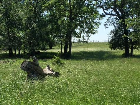 3000 Pettytown Road Dale TX 78616