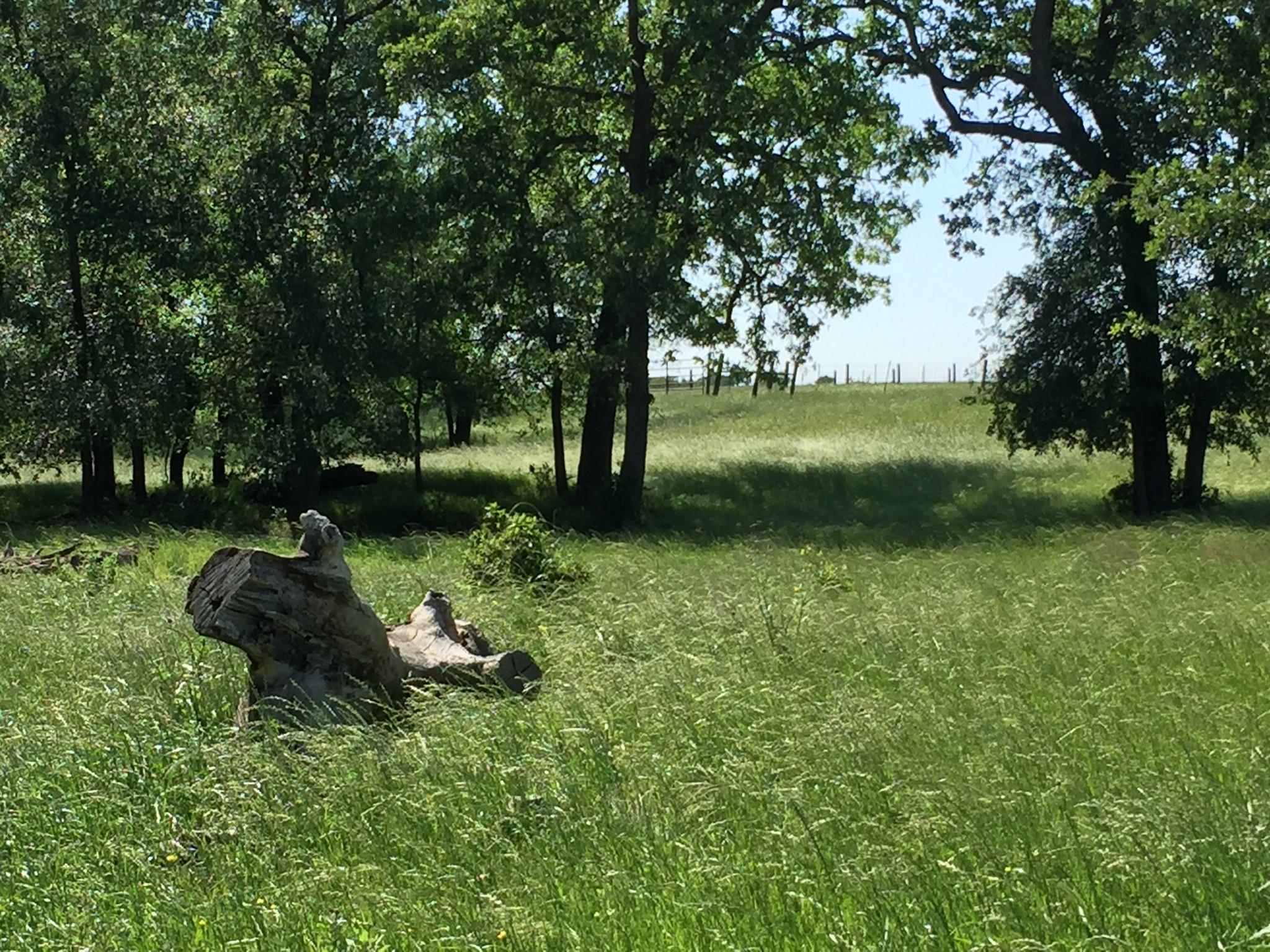 3000 Pettytown Road Dale TX 78616