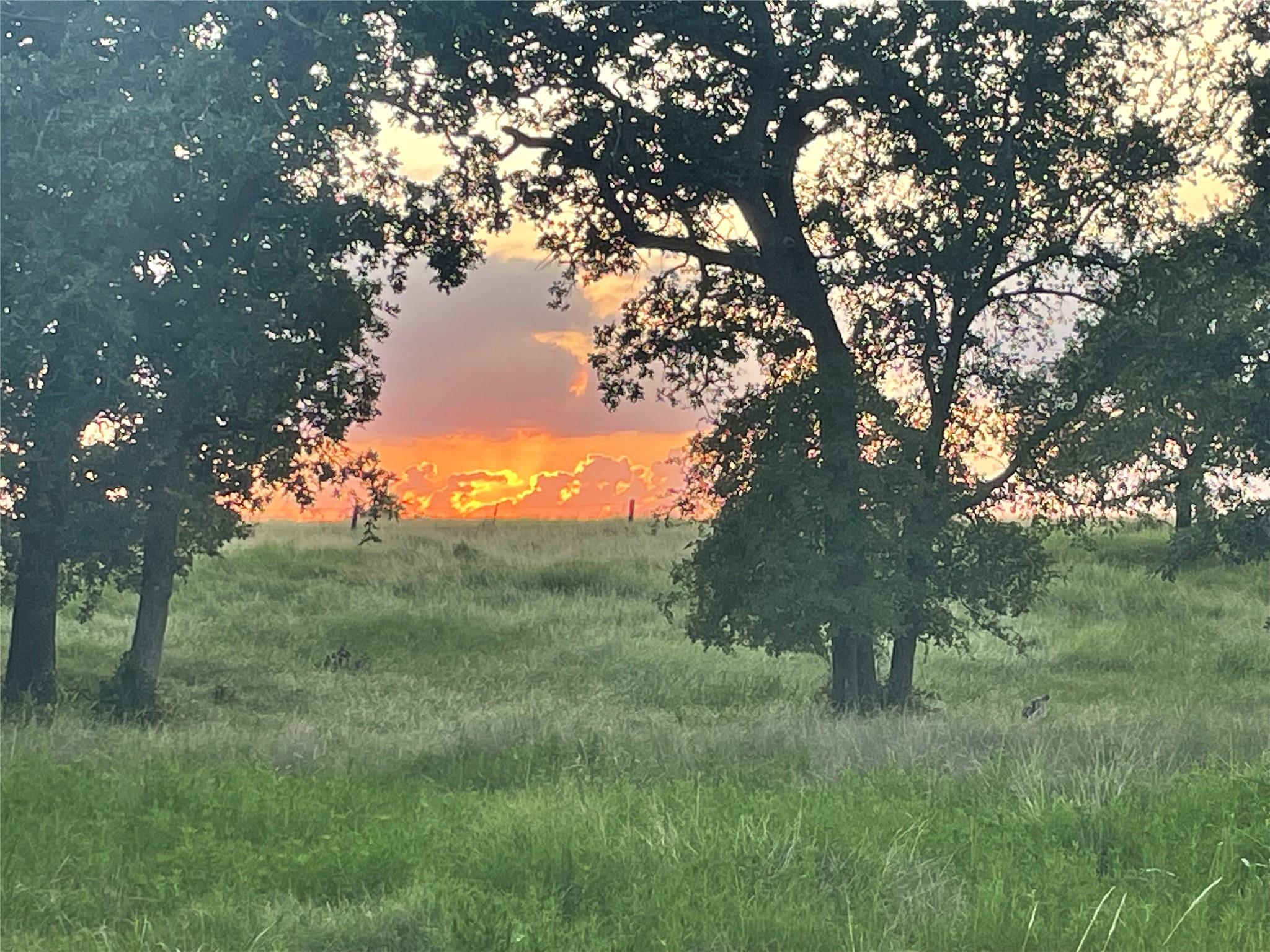 3000 Pettytown Road Dale TX 78616