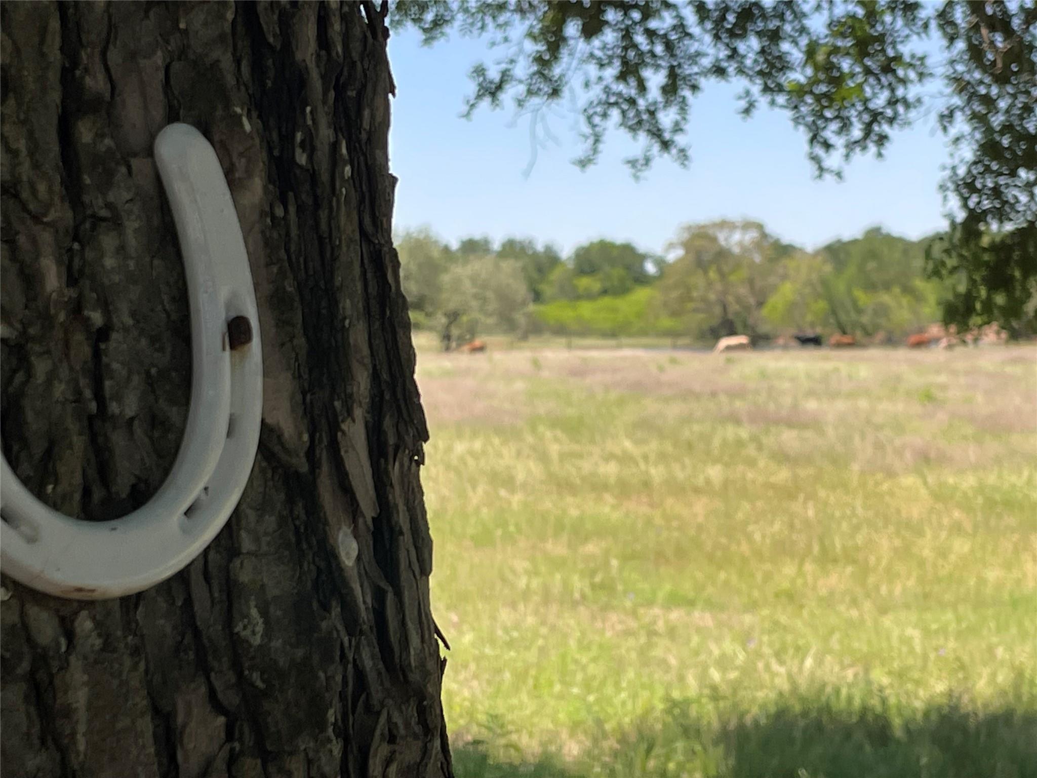 3000 Pettytown Road Dale TX 78616