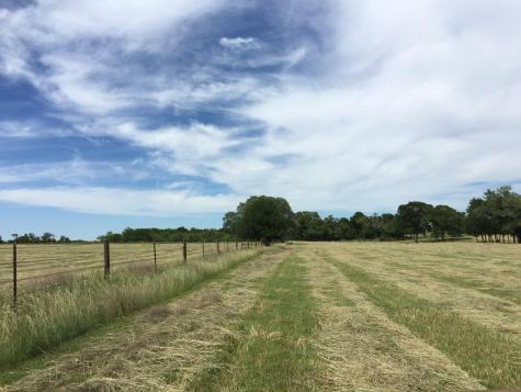 3000 Pettytown Road Dale TX 78616
