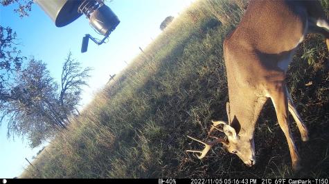 3000 Pettytown Road Dale TX 78616