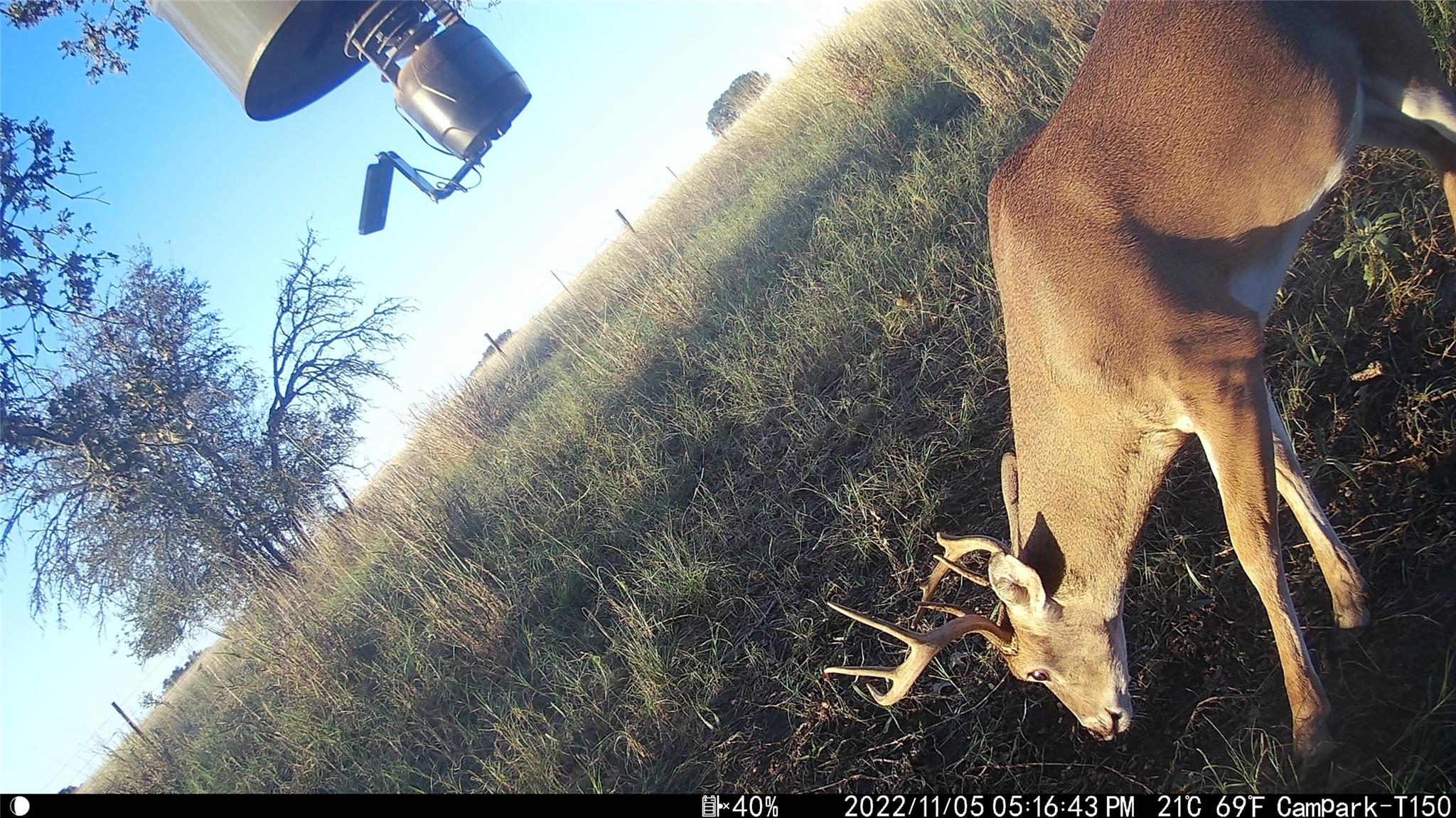 3000 Pettytown Road Dale TX 78616