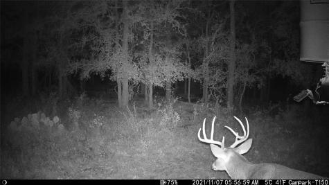 3000 Pettytown Road Dale TX 78616