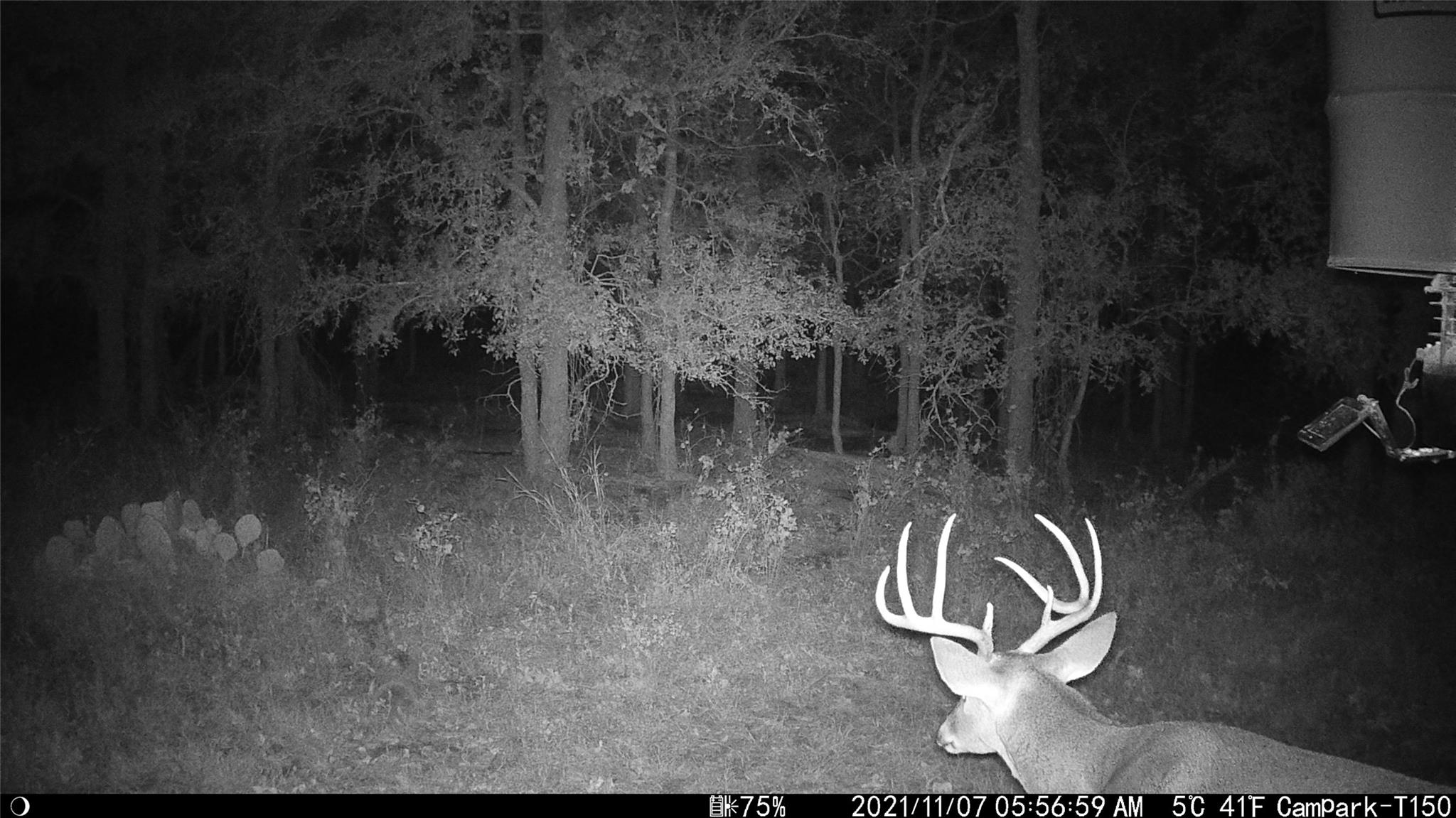 3000 Pettytown Road Dale TX 78616